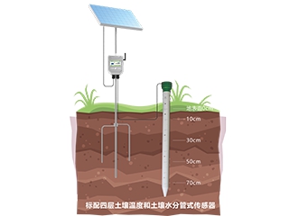 土壤剖面水分测定仪